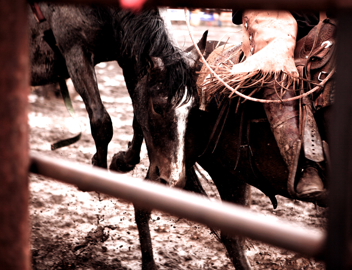_MG_7255-Edit.jpg