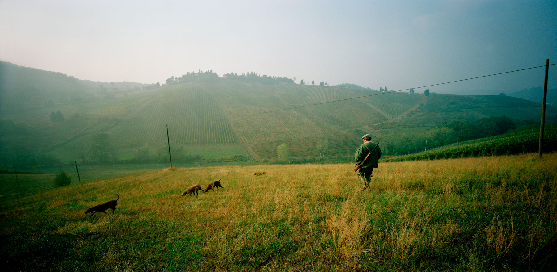 hunting-italy-dogs